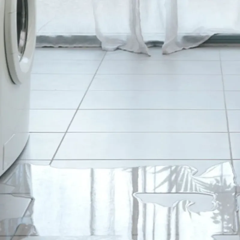 Appliance Leak Cleanup in Summerville, SC