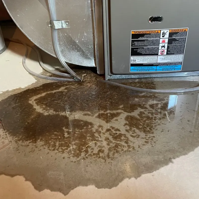 Pipe Burst and Leak Restoration in Summerville, SC